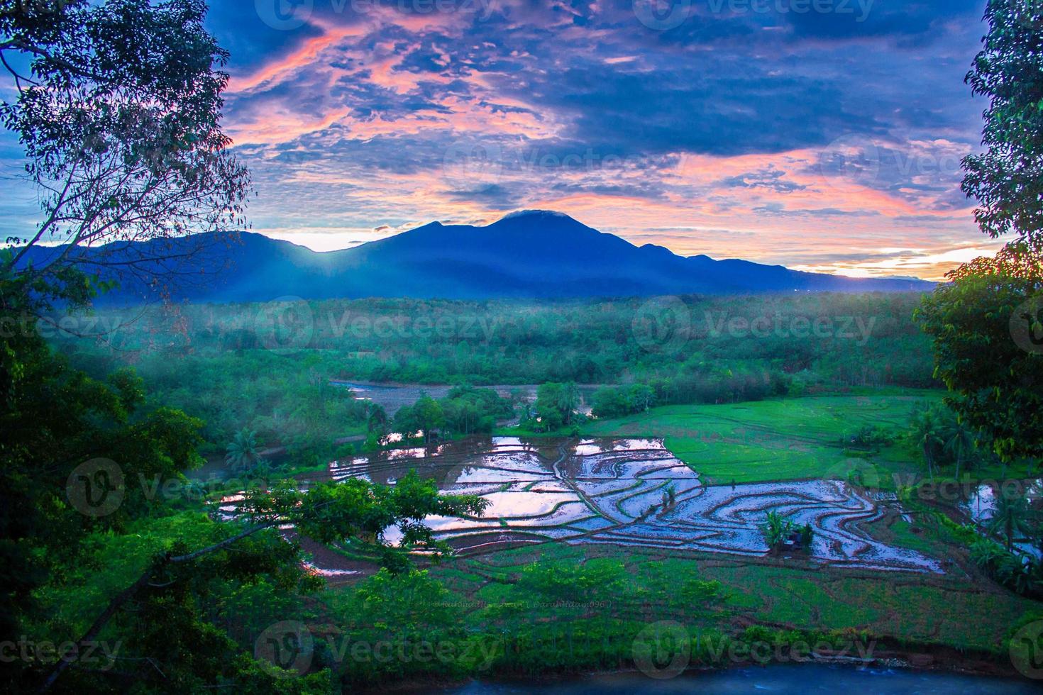 vista dos campos de arroz pela manhã com uma atmosfera matinal de nevoeiro na montanha foto