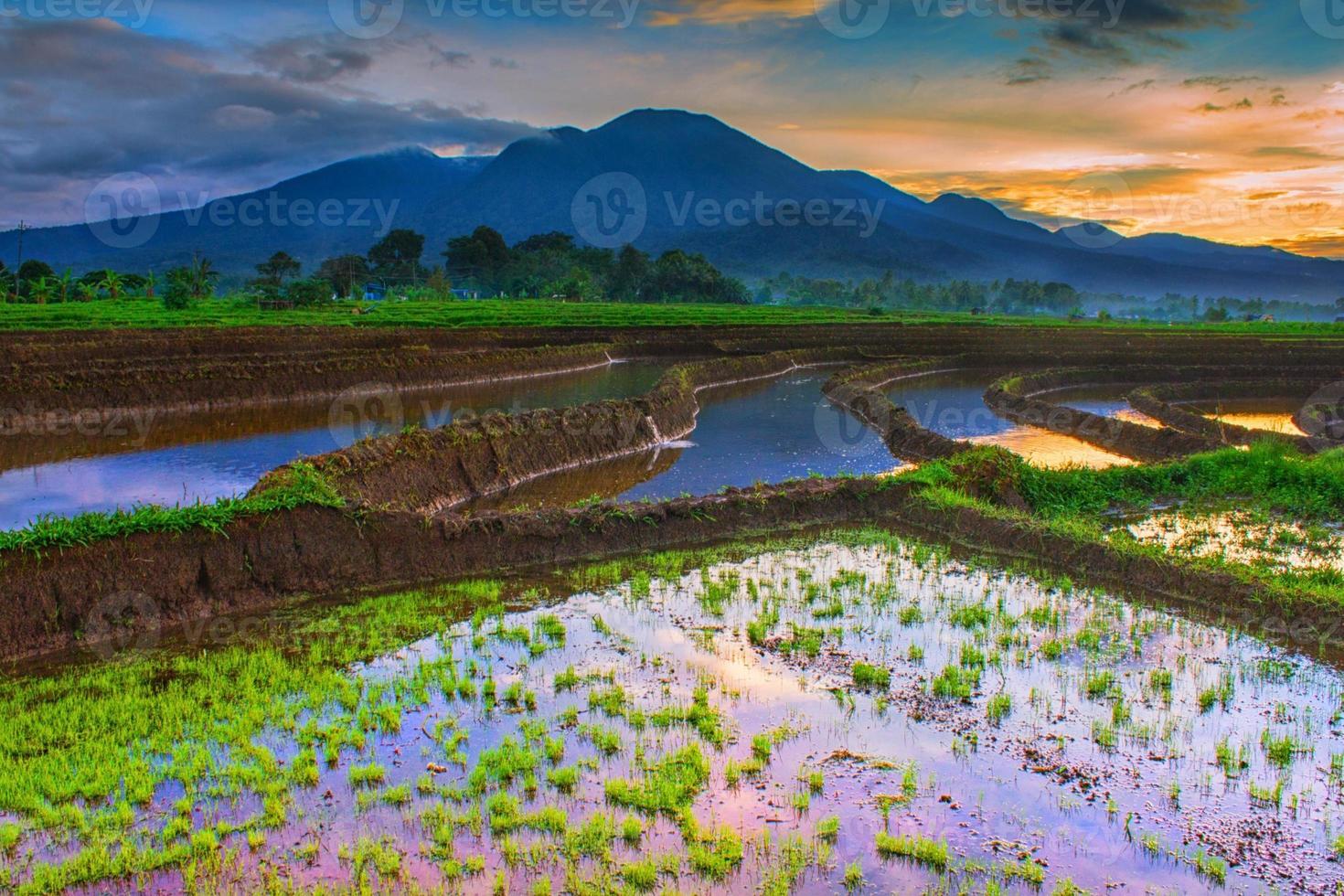 belas paisagens nos campos de arroz com montanhas azuis e água refletindo o céu da manhã foto