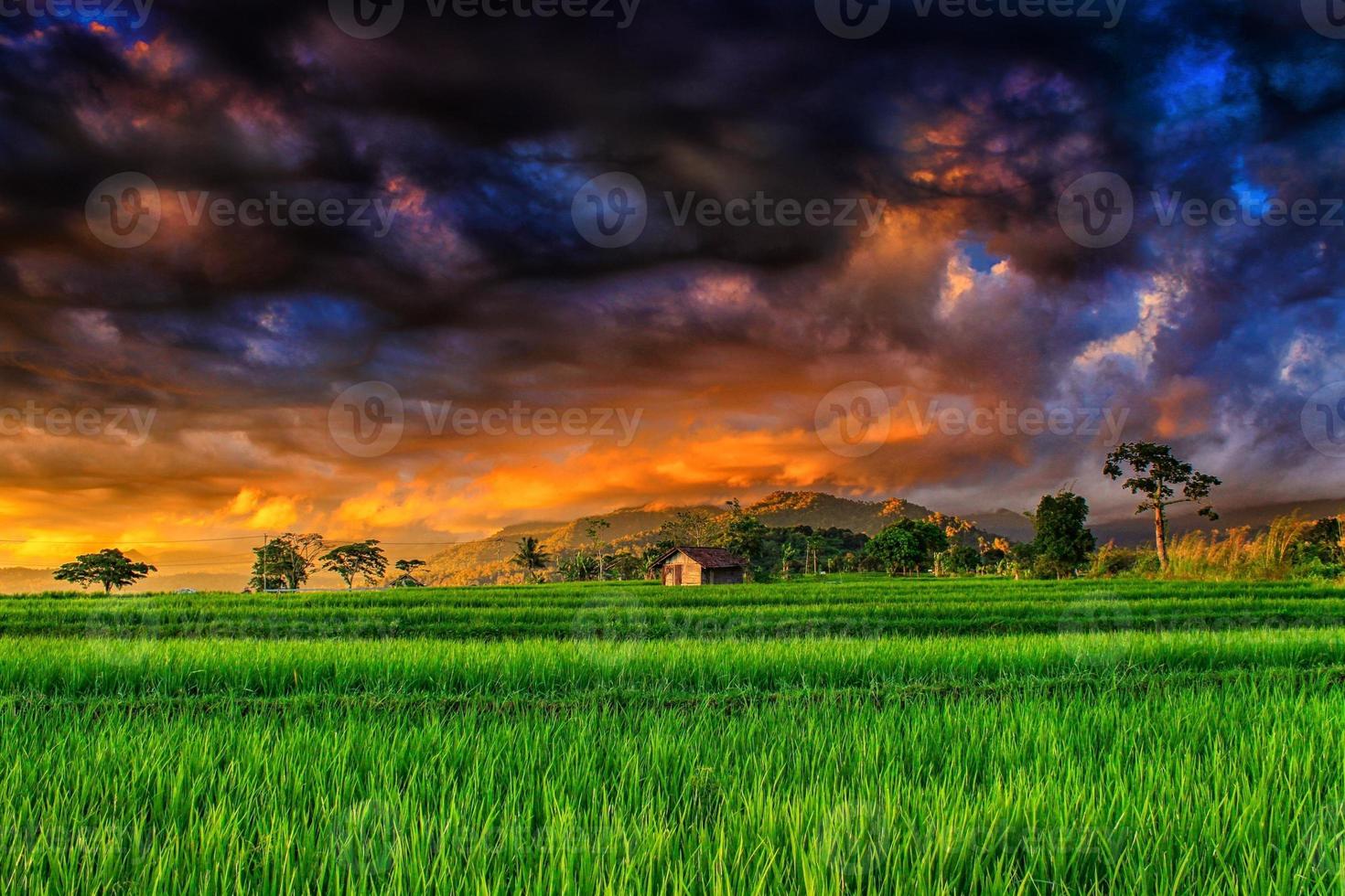 a vista dos campos de arroz verdes com o céu assustador de monstro à noite foto