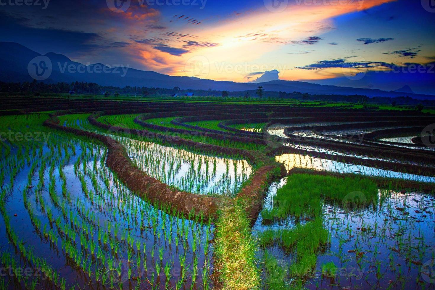 a vista dos campos de arroz refletindo as montanhas e o céu da manhã foto