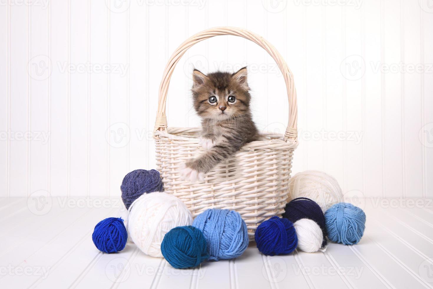 gatinho fofo em uma cesta com fio branco foto