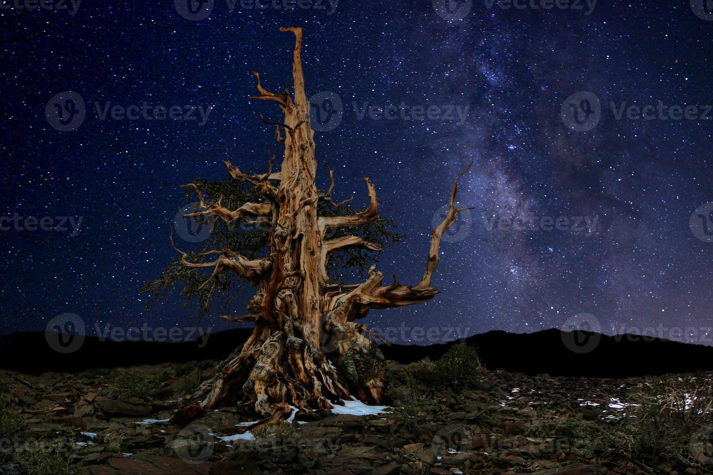 paisagem pintada de luz de acampamento e estrelas foto