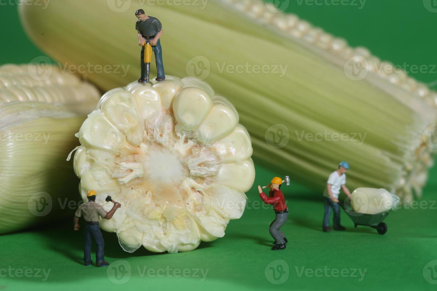 trabalhadores da construção em miniatura em imagens conceituais de comida com milho foto