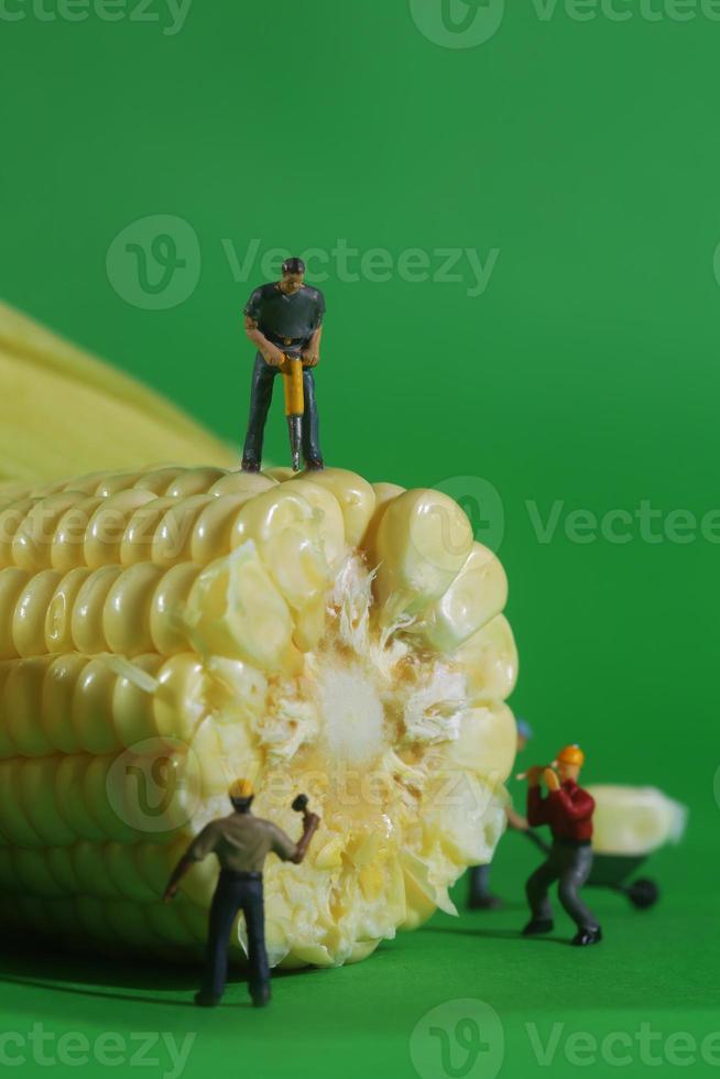 trabalhadores da construção em miniatura em imagens conceituais de comida com milho foto