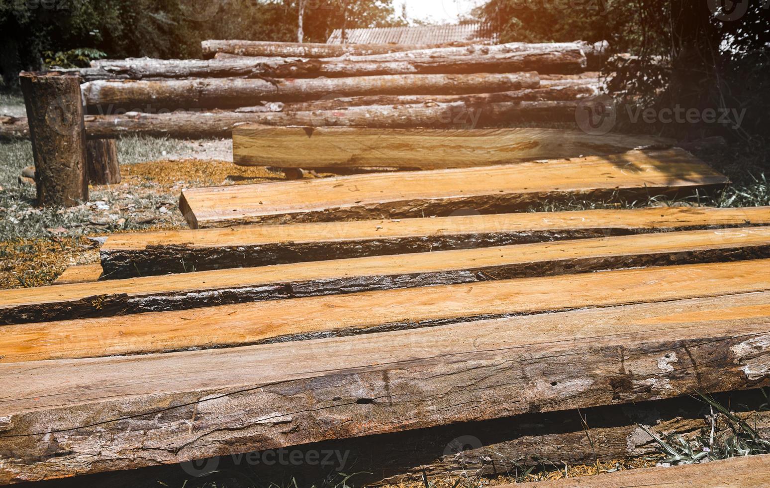 troncos de madeira hopea odorata empilhados. foto
