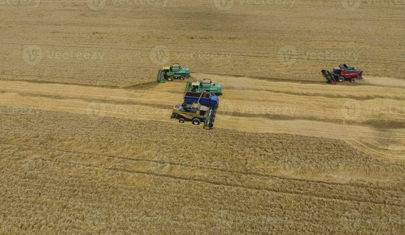 colheita trigo colheitadeira. agrícola máquinas colheita grão em a campo. foto