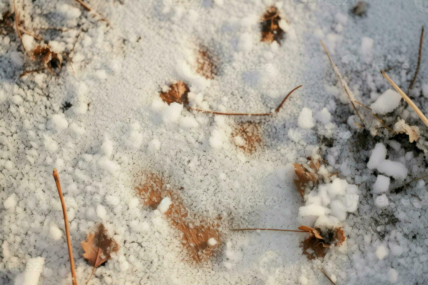 ai gerado inverno animais selvagens faixas - generativo ai foto