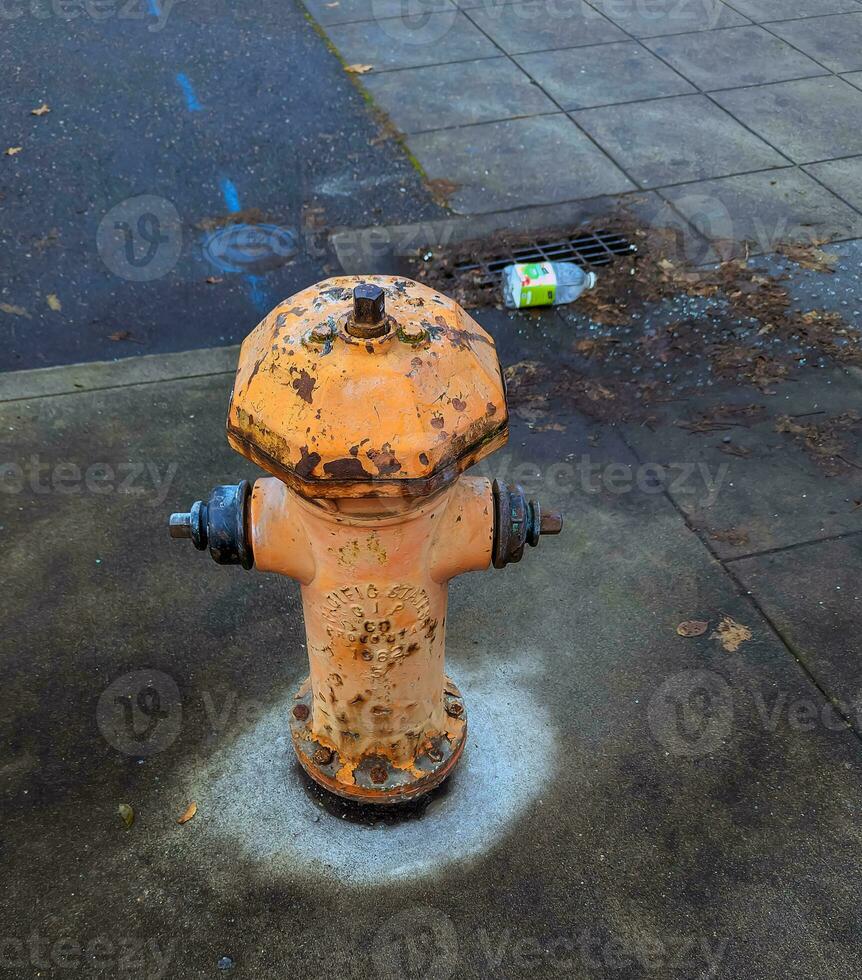 fogo Hidrante carrinhos alta em uma cidade rua dentro Portland, EUA, simbolizando segurança, emergência preparação foto