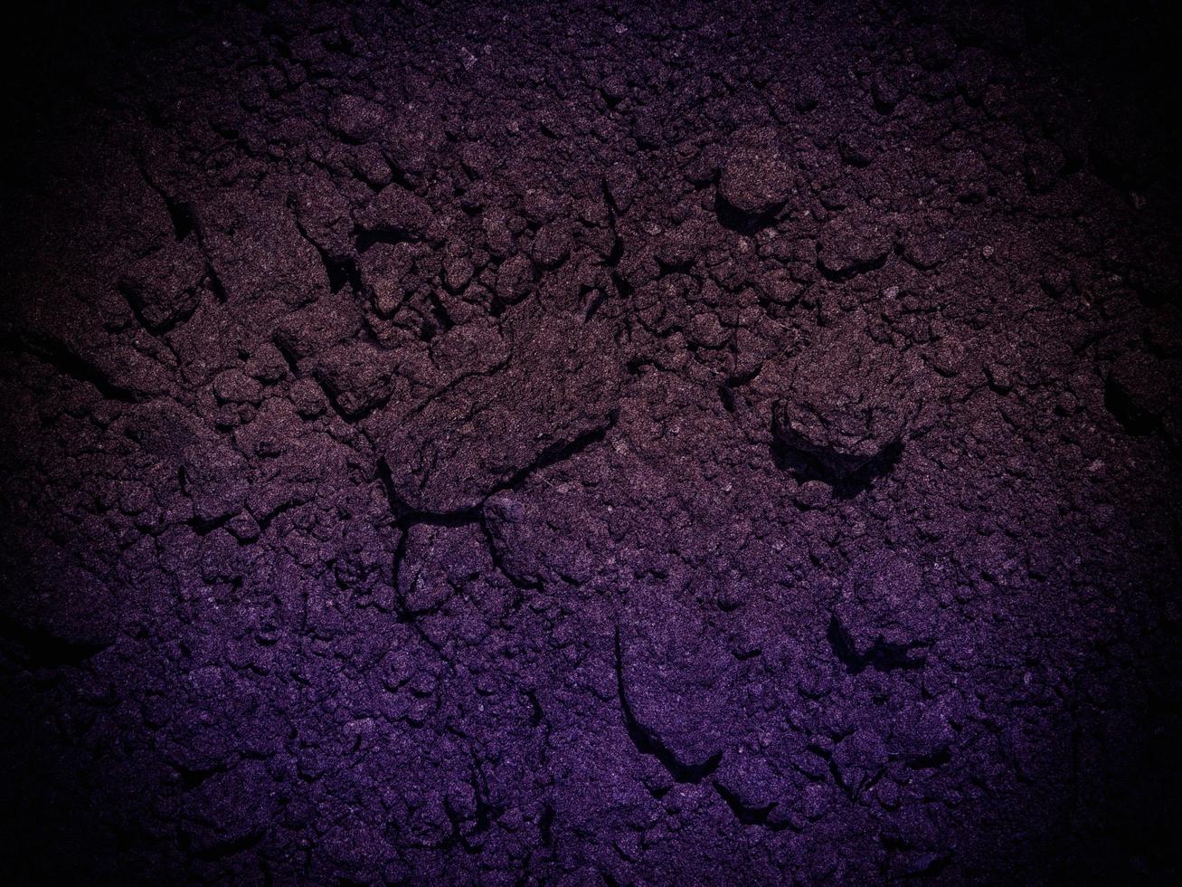 textura de terra escura no jardim foto