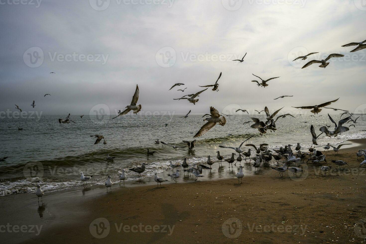 Primavera em uma de praia foto