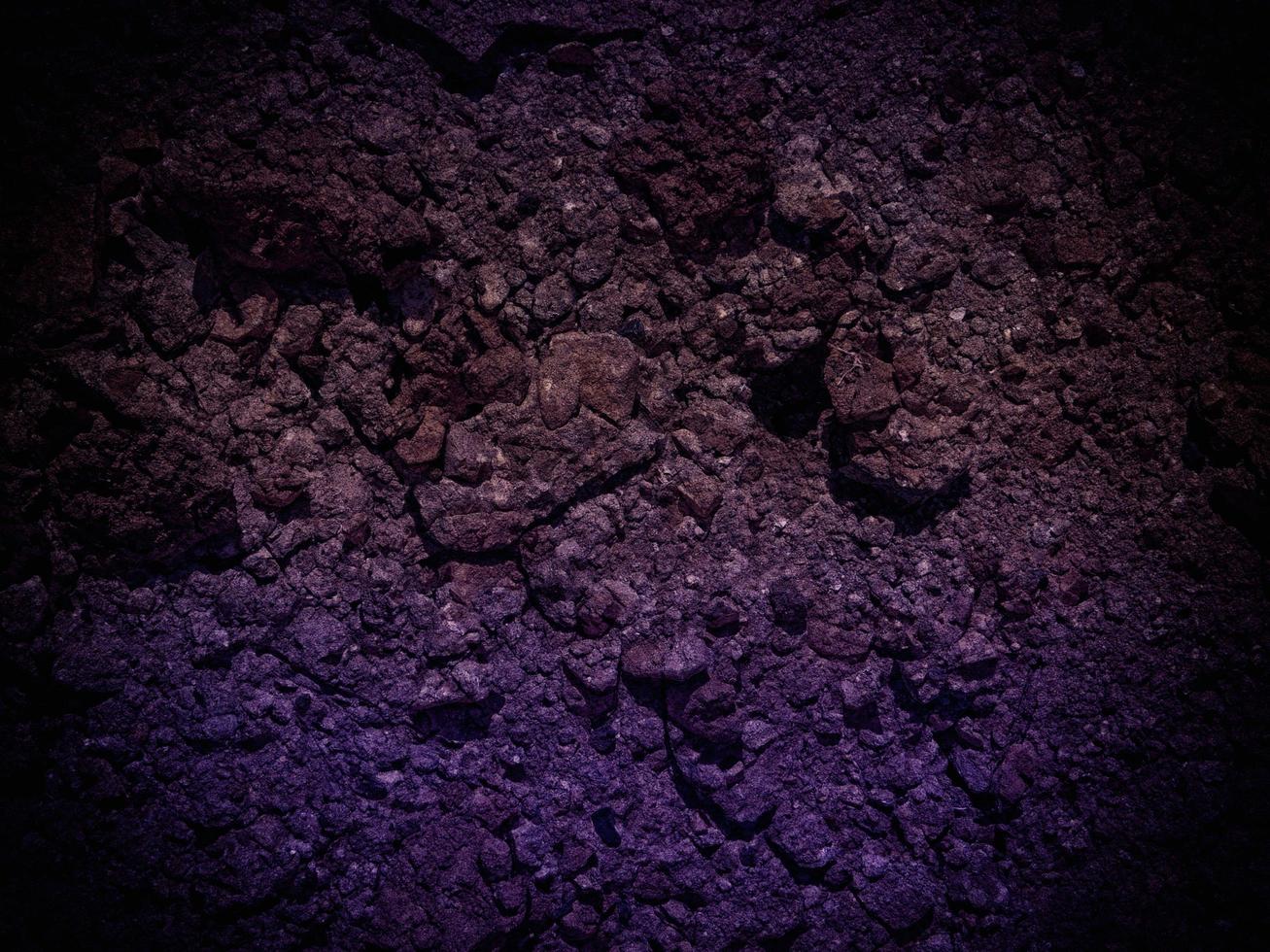 textura de terra escura no jardim foto