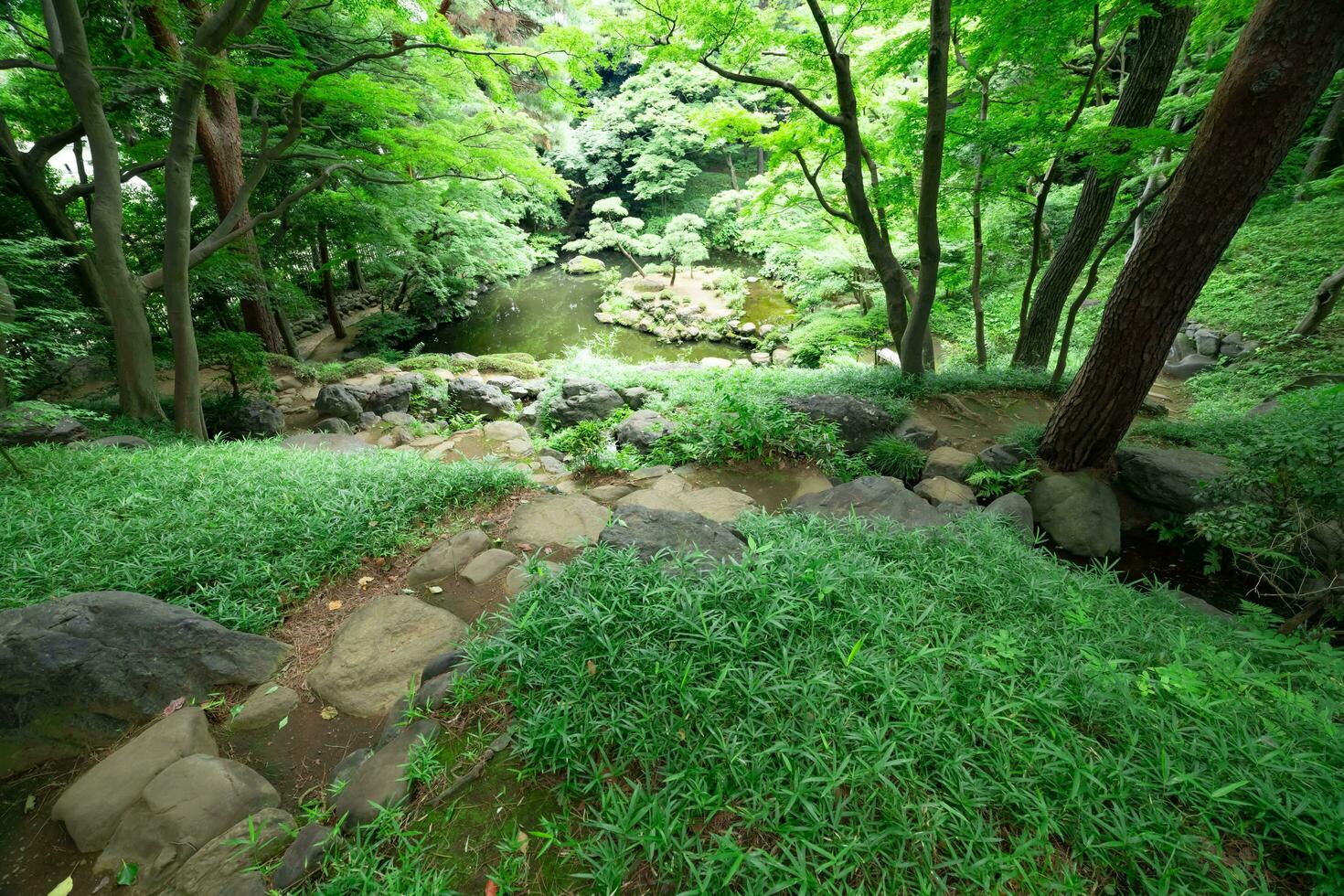 uma japonês jardim lagoa às tonogayato jardim dentro verão ensolarado dia foto