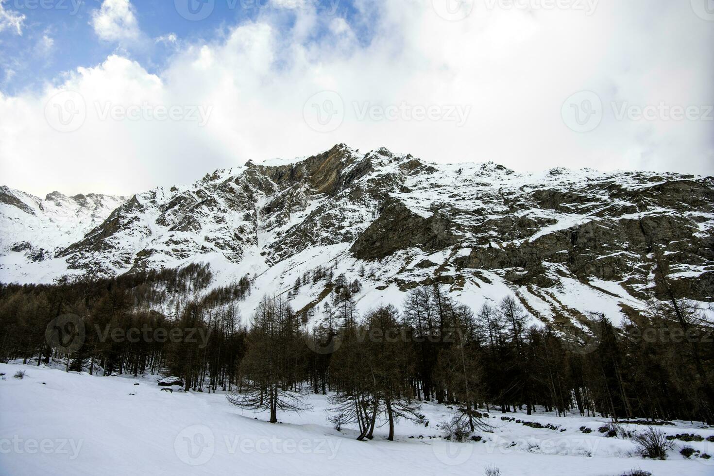 montanha panorama com abeto árvores aosta vale Itália foto