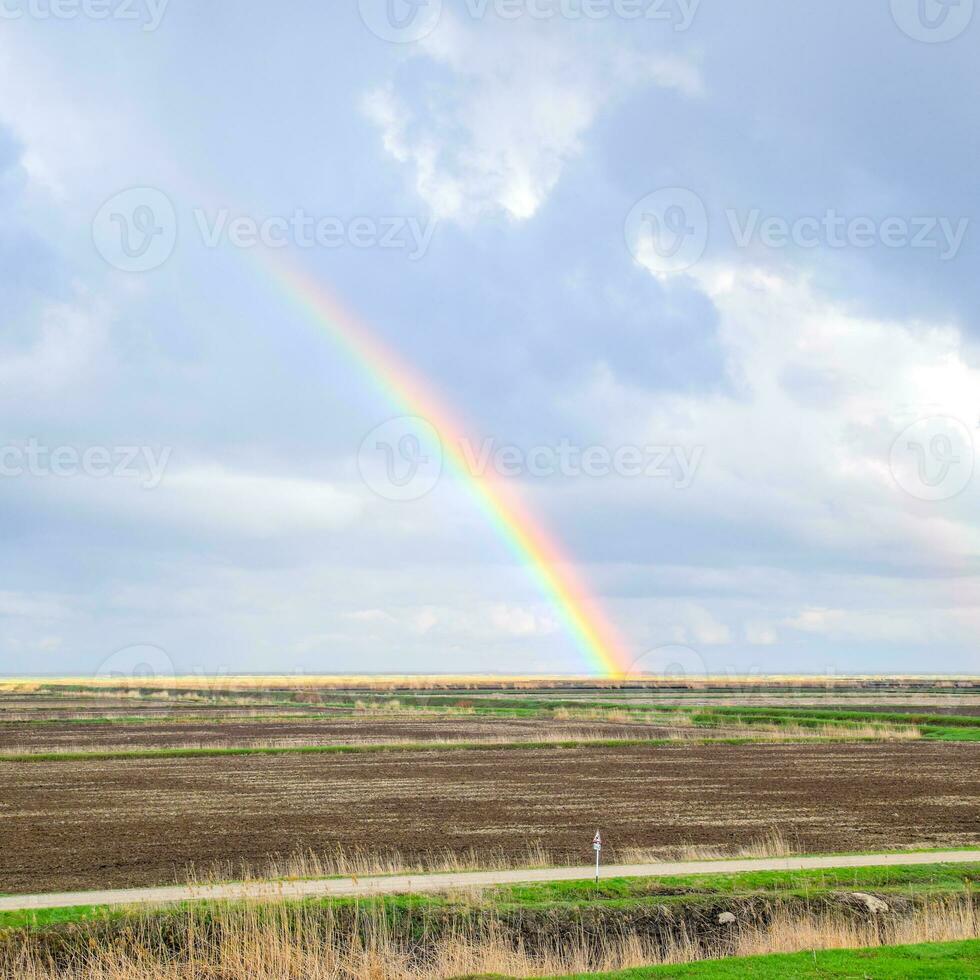 arco-íris, uma Visão do a panorama dentro a campo. formação do a foto