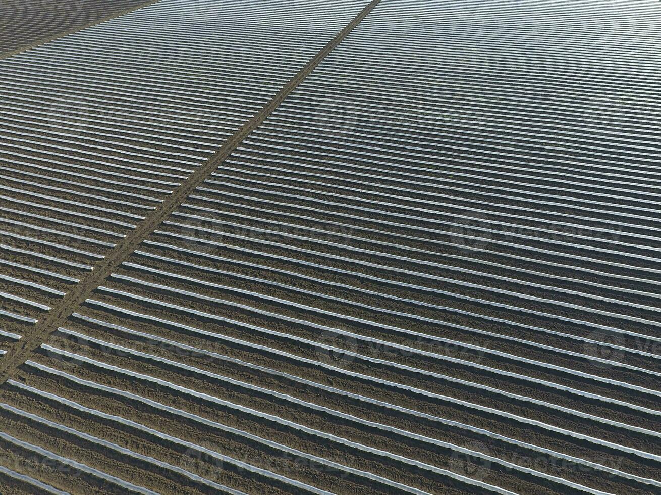 linhas do enevoado estufas dentro a campo. crescendo legumes dentro uma fechadas chão. estufas dentro a campo foto