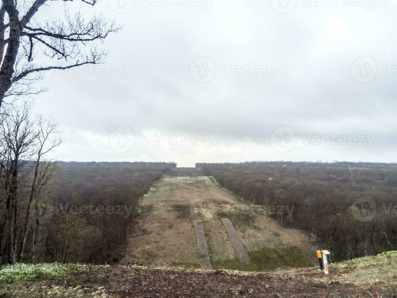 uma compensação dentro a floresta para a gás gasoduto foto