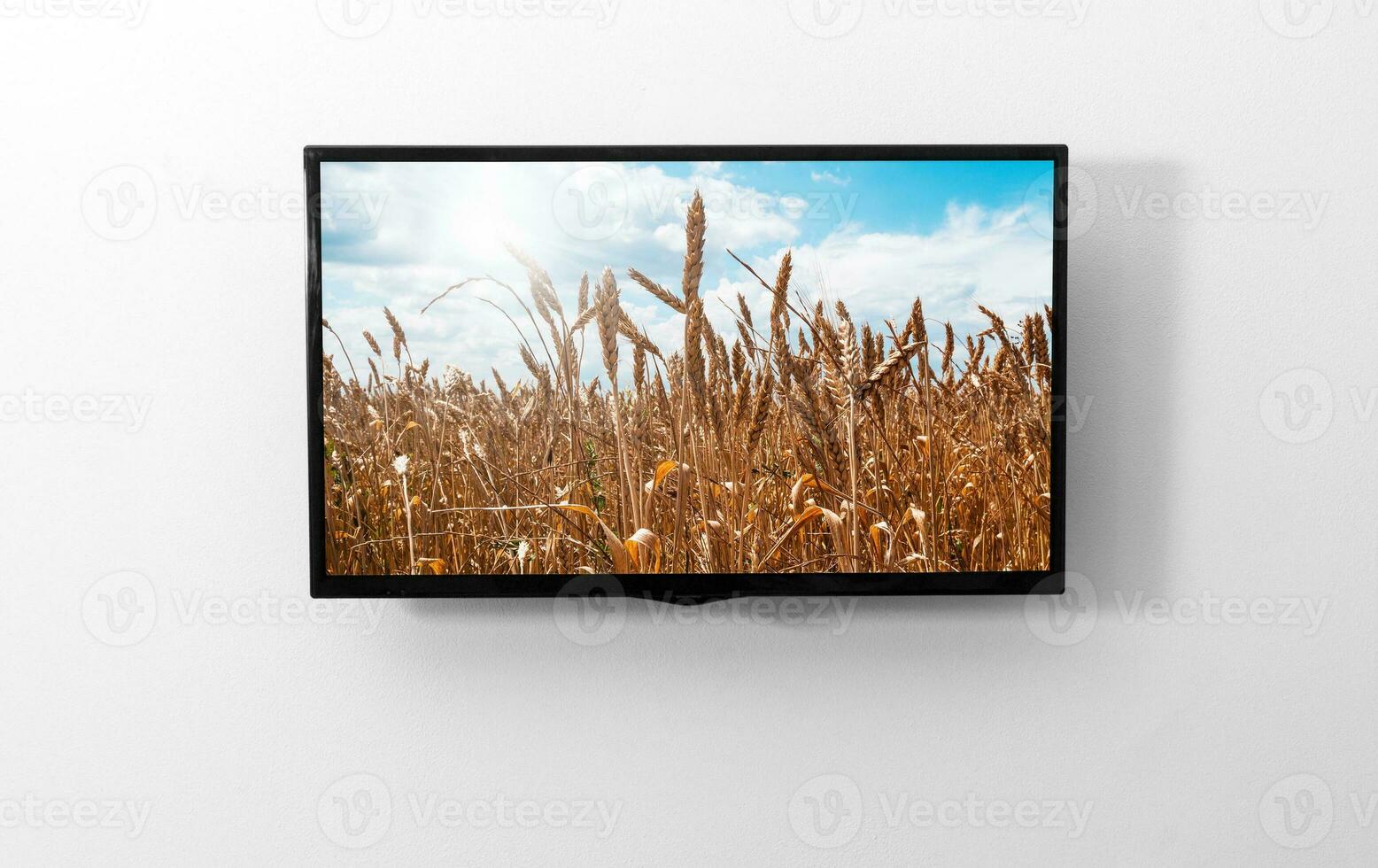 televisão monitor em a parede foto