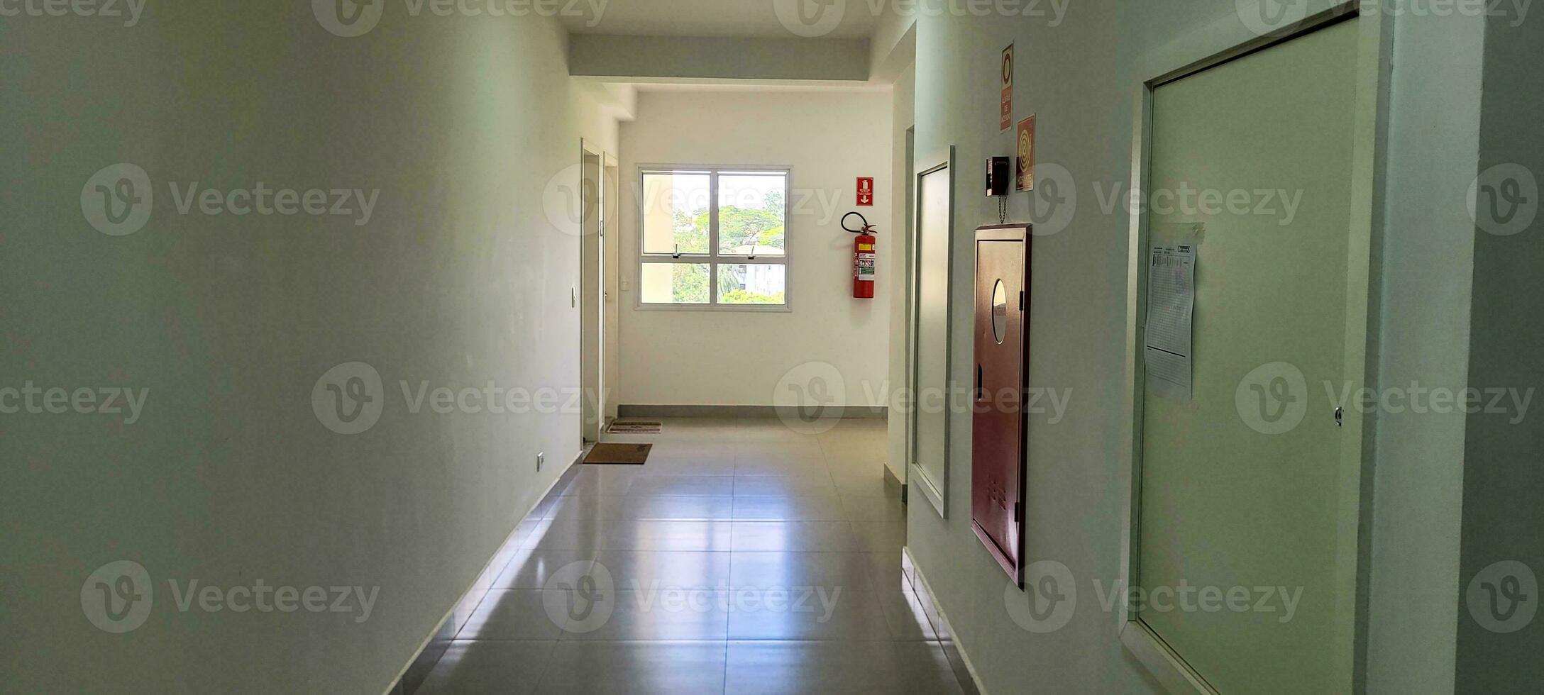 transformar projetos com a perfeito imagem explorar a Eterno elegância do nosso apartamento corredor, ideal para inspirador designers e criativos. pegue isto agora foto