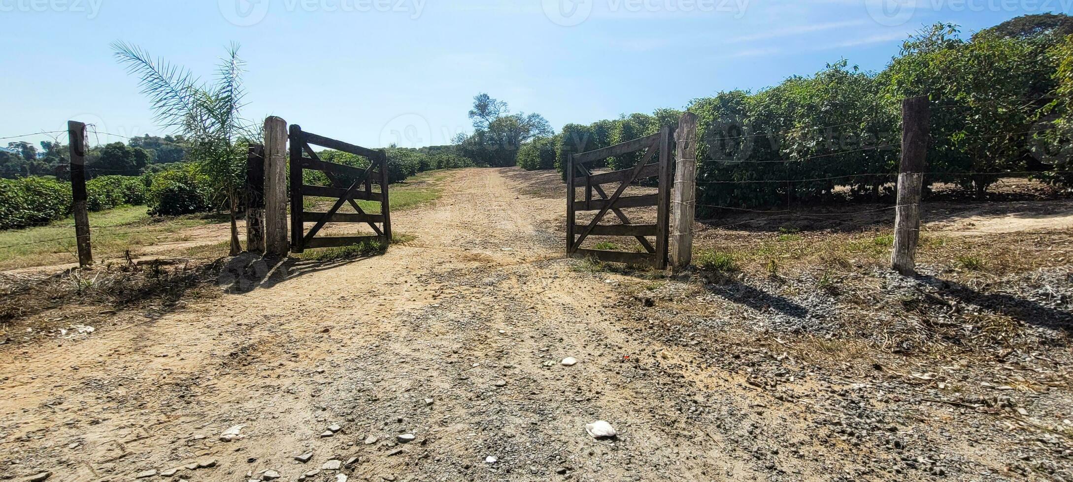 Porta de entrada para selvagem natureza acolhedor aberto Fazenda portão, convidativo você para explorar a intocado beleza. uma cena do liberdade e tranquilidade foto