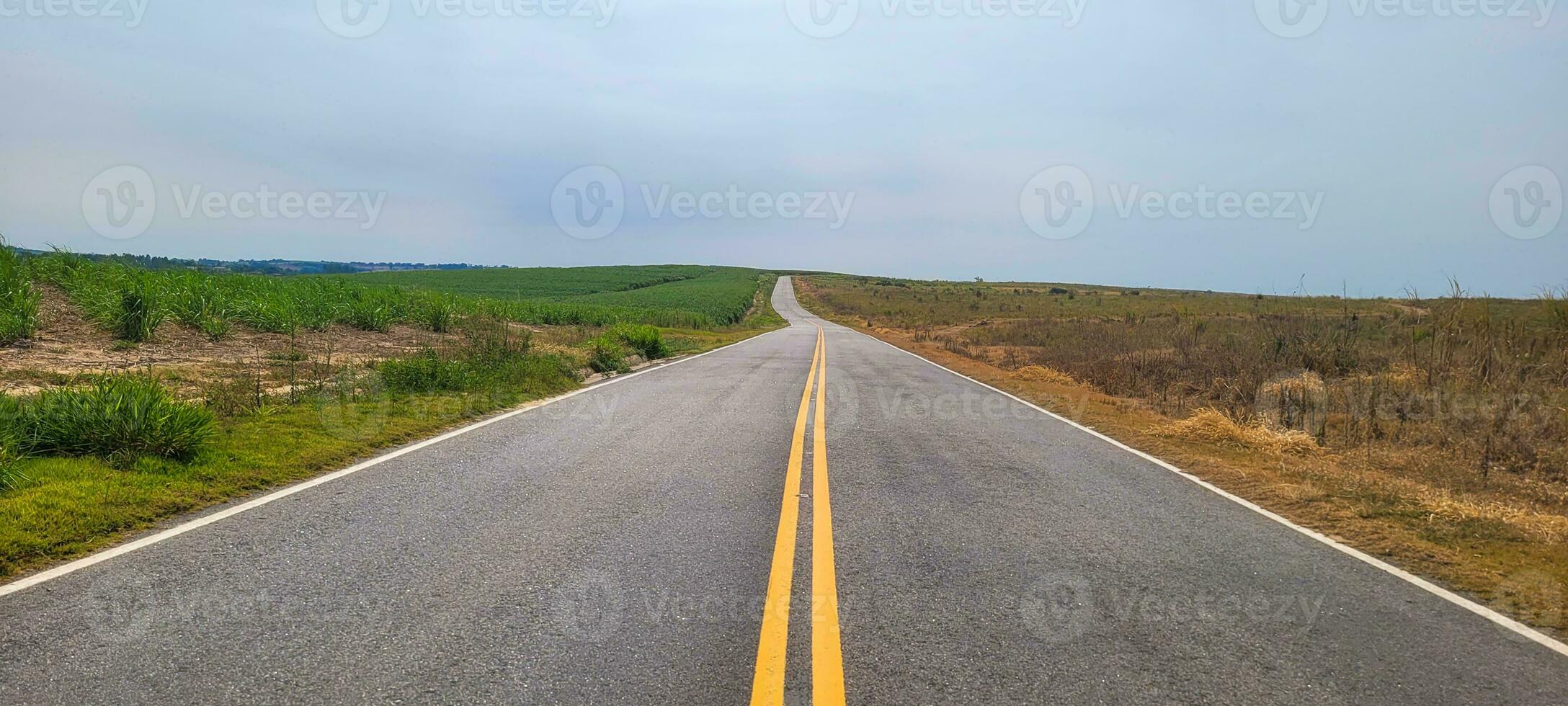 explorar a horizonte em a deserto estrada. uma fascinante viagem entre exuberante vegetação e majestoso montanhas. pegue isto imagem e embarcar em sem fim visual possibilidades foto