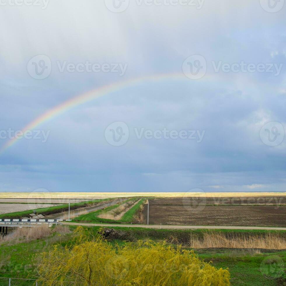 arco-íris, uma Visão do a panorama dentro a campo. formação do a foto