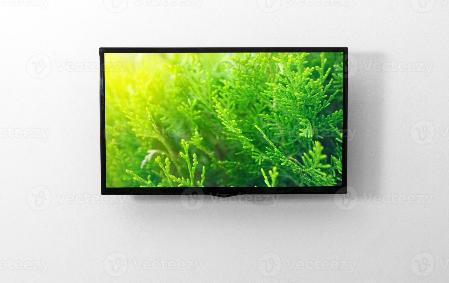 televisão monitor em a parede foto