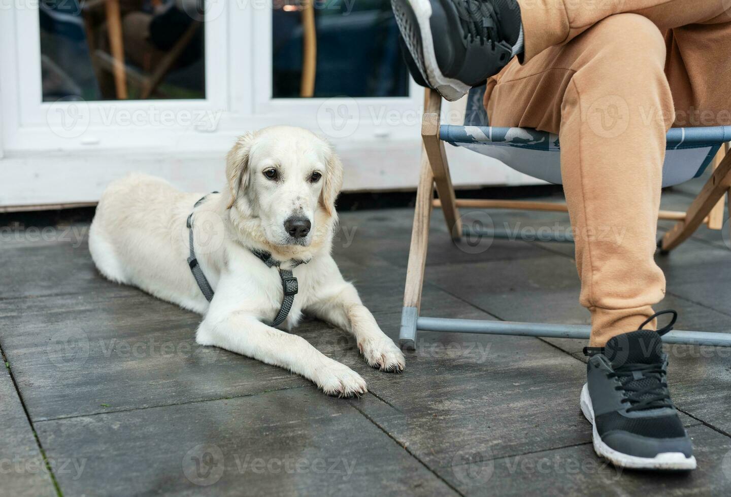 jovem homem sentado com cachorro em terraço foto