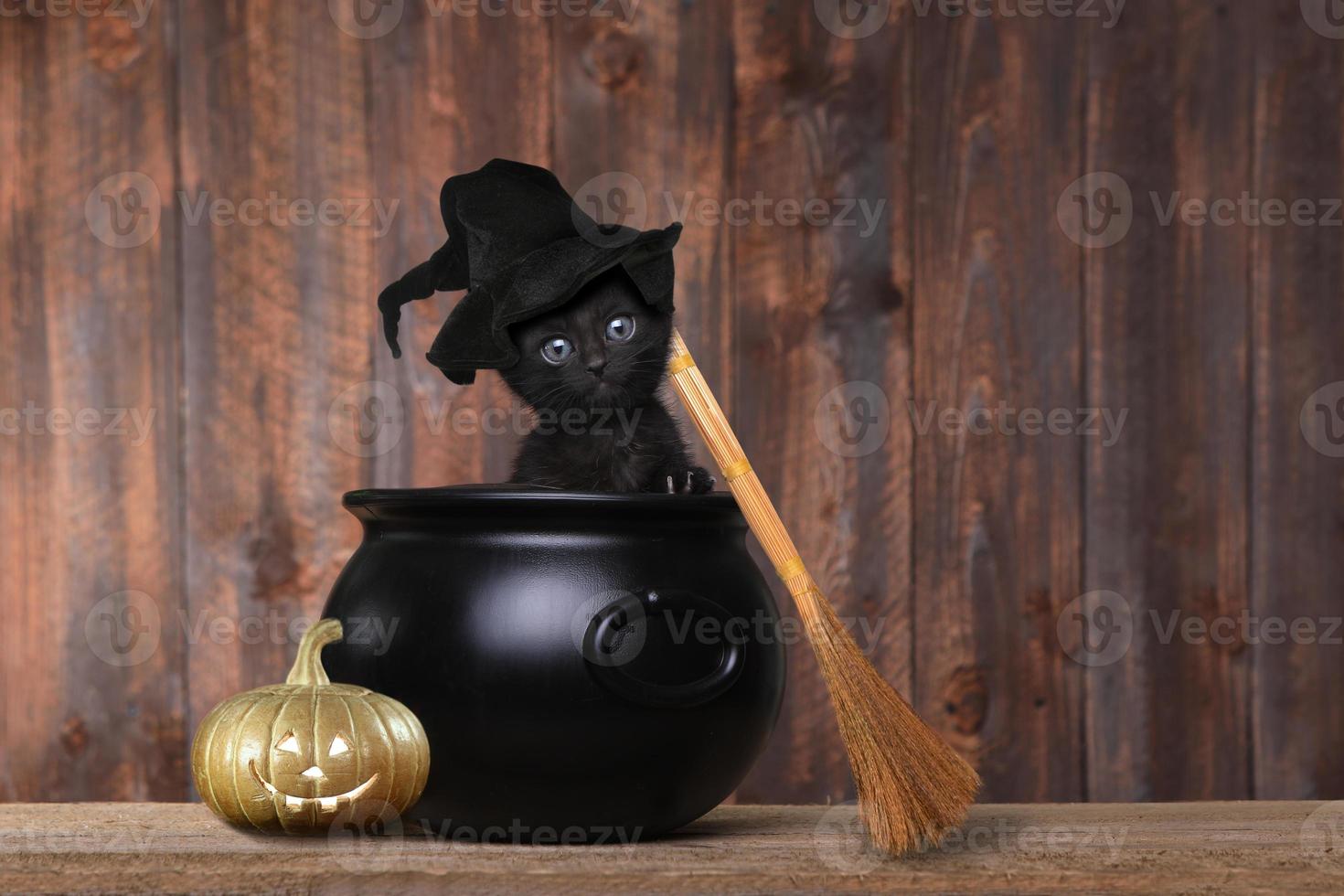 gatinho adorável vestido de bruxa de halloween com chapéu e vassoura no caldeirão foto