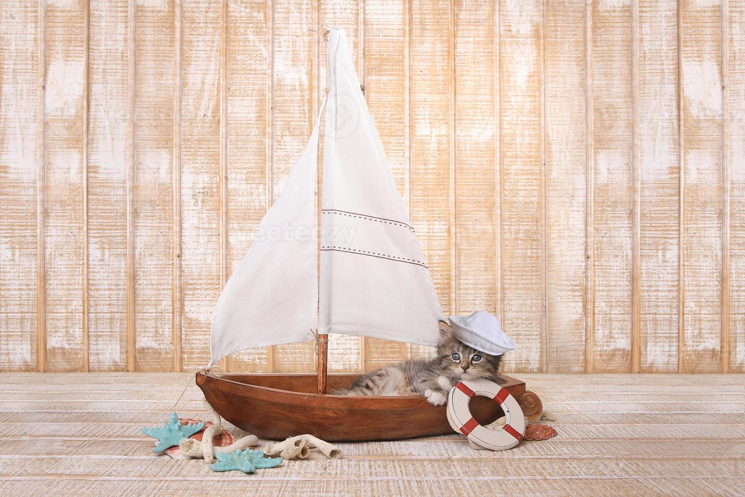 gatinho fofo em um veleiro com tema oceano foto