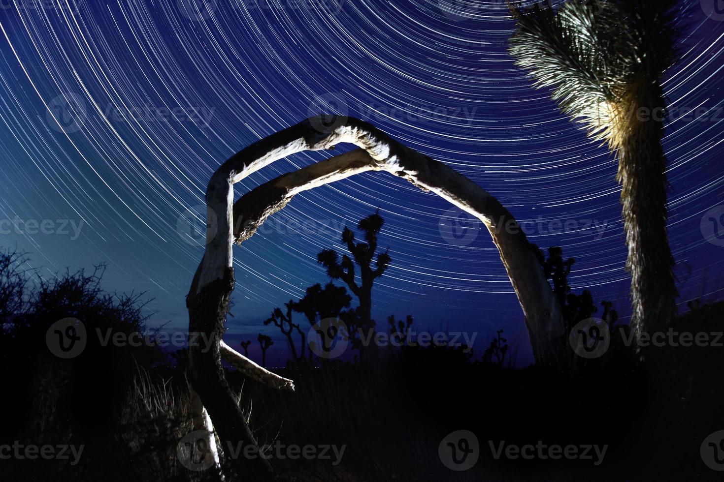 trilhas de estrelas no parque nacional joshua tree foto