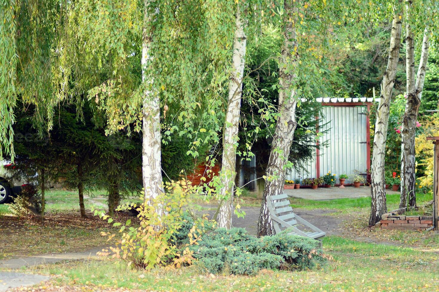 verde árvores dentro a cidade parque foto