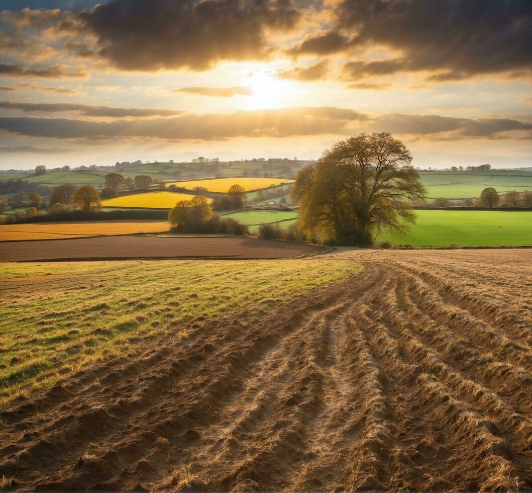 ai gerado lindo pôr do sol sobre a campo dentro Primavera com Campos e prados foto