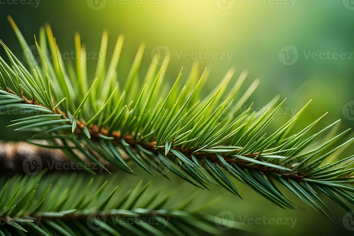 ai gerado realçar a detalhes do pinho agulhas, exibindo seus arranjo e a textura do a árvore filial, fundo imagem, generativo ai foto