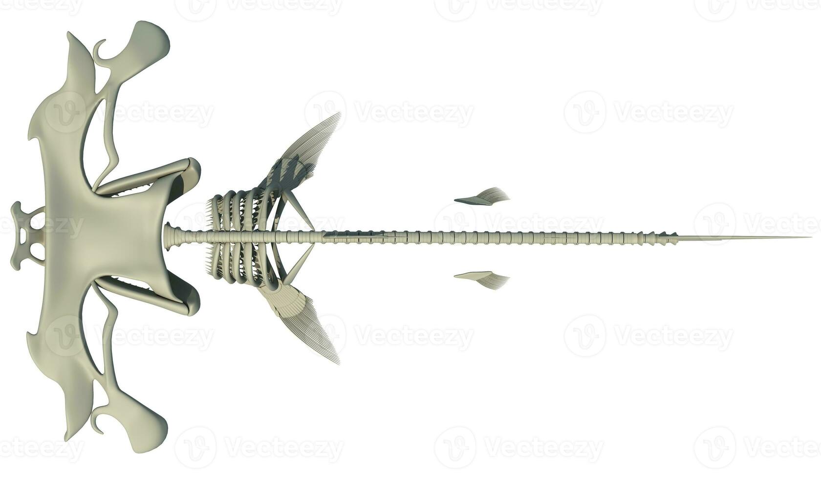 cabeça de martelo Tubarão esqueleto 3d Renderização foto