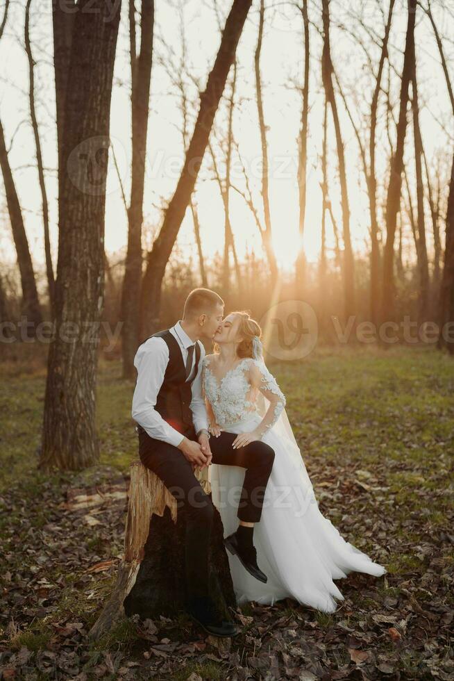 Casamento foto dentro natureza. a noivo senta em uma de madeira ficar em pé, a noiva carrinhos Próximo para ele, inclinado em dele ombro. Veja às cada outro. retrato do a noiva e noivo