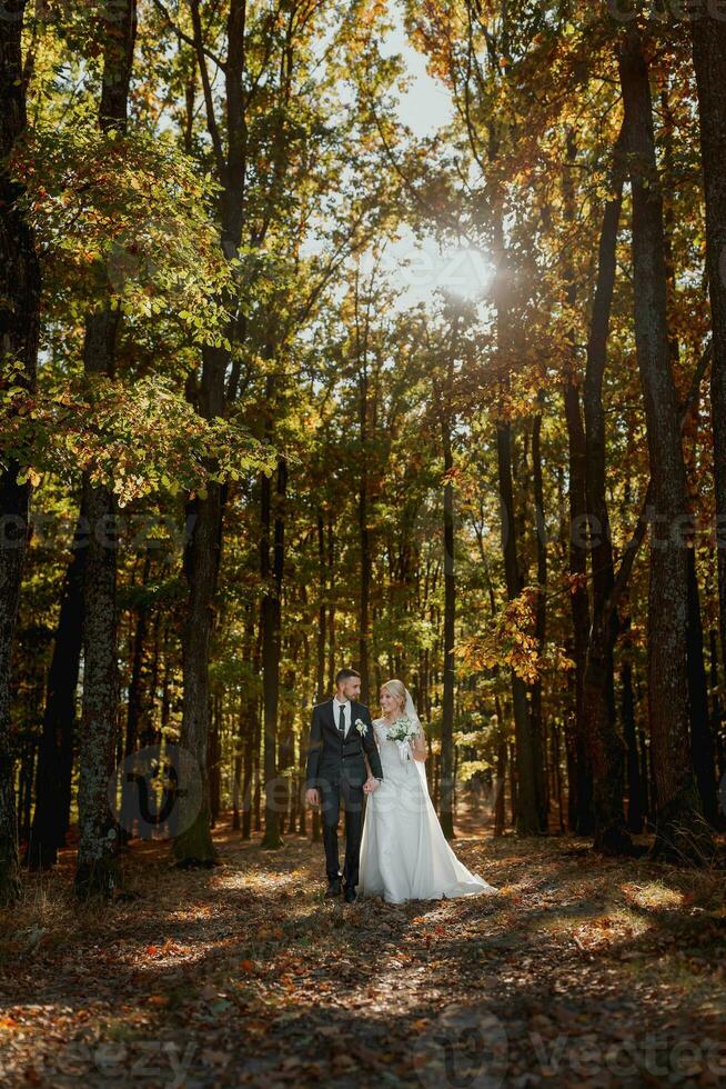 feliz casal. Casamento foto. casal dentro amor, caminhando dentro a floresta às pôr do sol, Casamento vestir com grandes trem, Lugar, colocar para publicidade foto