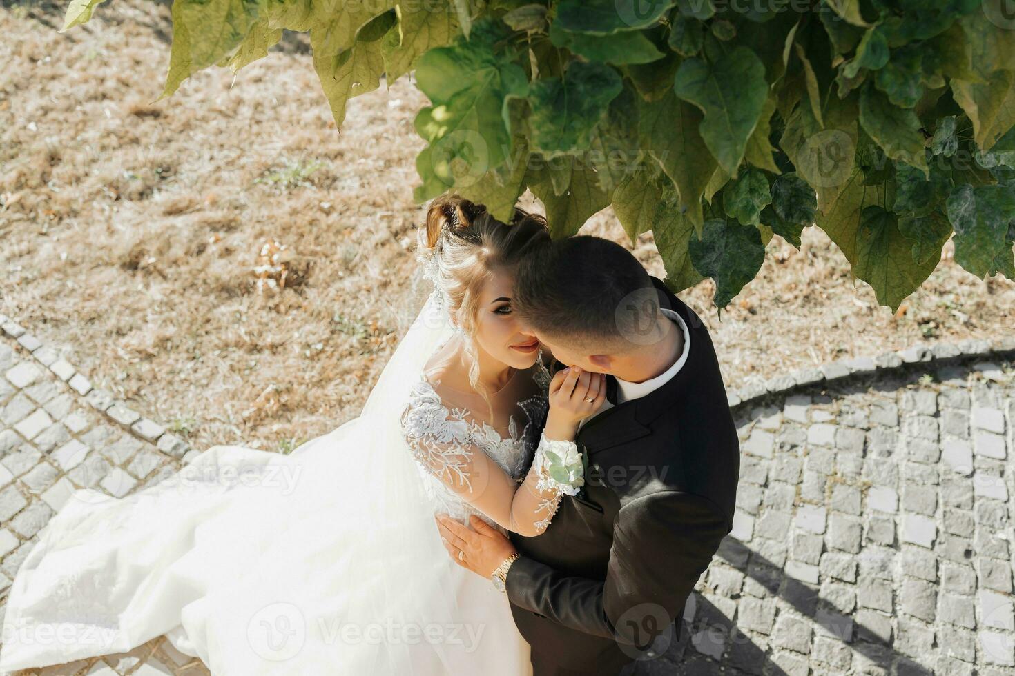 Casamento retrato. a noivo dentro uma Preto terno e a Loiras noiva dentro uma branco vestir com uma trem estão abraçando debaixo uma árvore. Visão a partir de acima. foto sessão dentro natureza. Sol raios dentro a foto