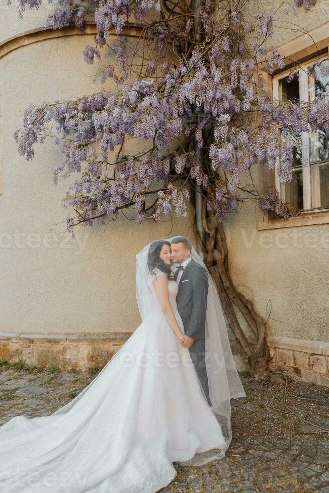 feliz jovem casal, noiva com grandes encaracolado cabelo dentro branco vestir debaixo véu perto castelo dentro lindo flores lindo menina dentro a parque foto