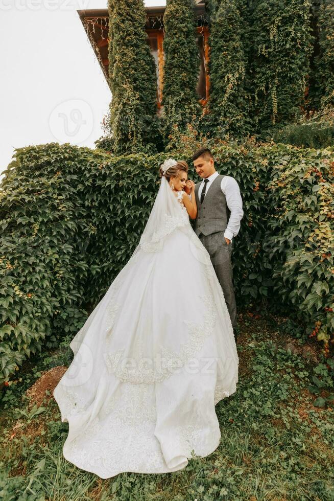 noiva e noivo dentro a jardim entre vegetação. real Casamento conceito. chique da noiva vestir com uma grandes trem. ternura e calma. retrato fotografia foto