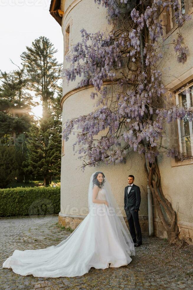 feliz jovem mulher com grandes encaracolado cabelo dentro uma branco vestir debaixo uma véu perto uma jardim dentro lindo flores lindo menina dentro a parque foto