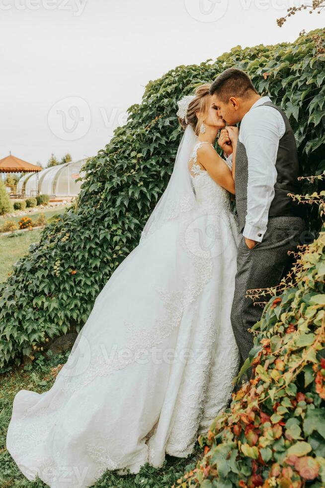 noiva e noivo dentro a jardim entre vegetação. real Casamento conceito. chique da noiva vestir com uma grandes trem. ternura e calma. retrato fotografia foto