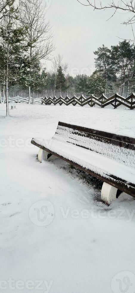 tiro do a ao ar livre inverno cena dentro a rural Vila. natureza foto