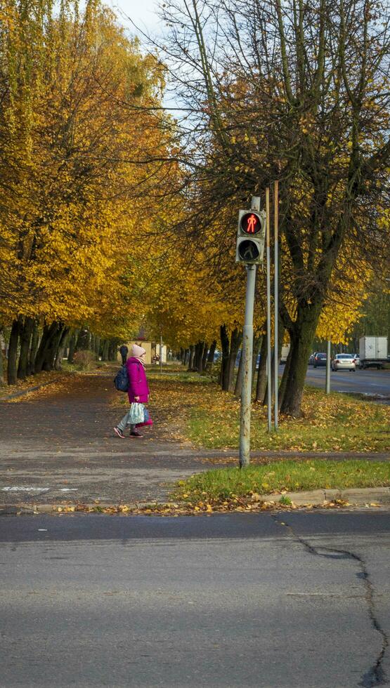 Minsk, bielorrússia - 14.10.2023 - tiro do a colorida outono árvores ao ar livre foto