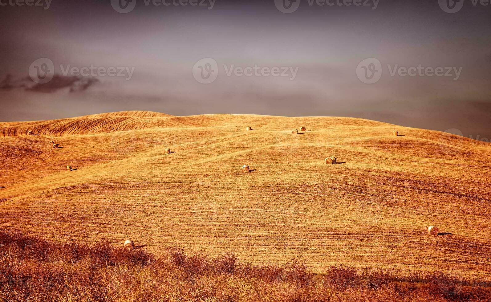 bela paisagem de outono foto