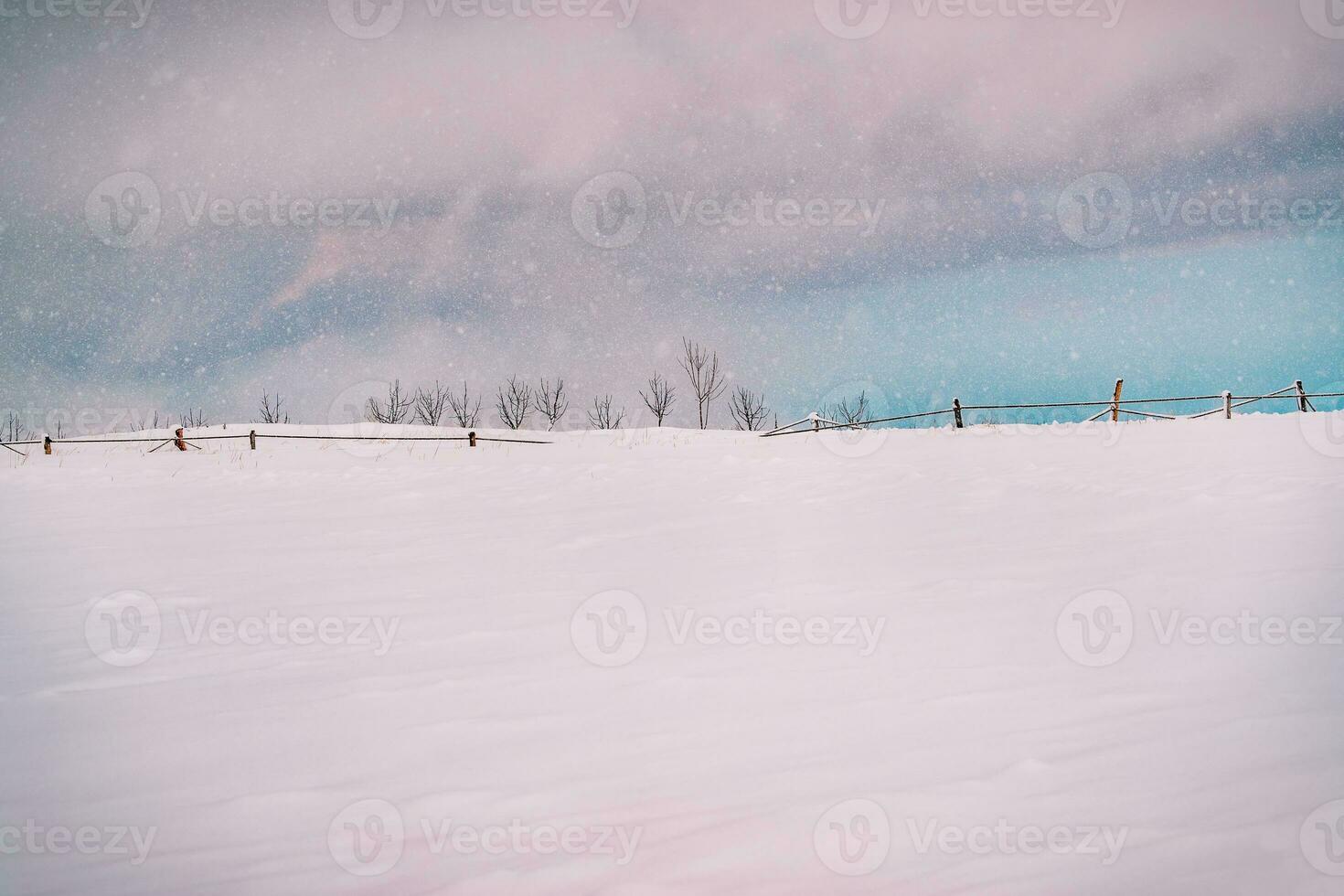 bela paisagem de inverno foto