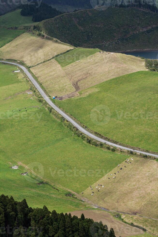 verde ilha dentro a atlântico oceano, são miguel, Açores, Portugal foto