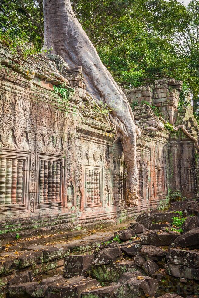 preah cã têmpora, Angkor área, siem colher, Camboja foto