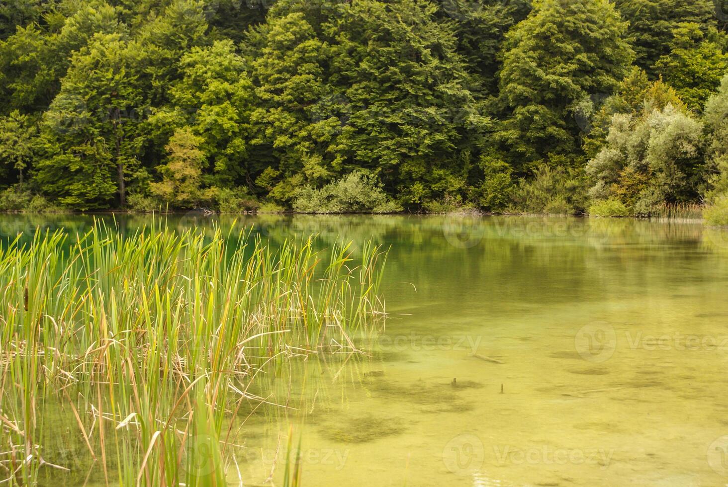 lagos plitvice na croácia - histórico de viagens na natureza foto