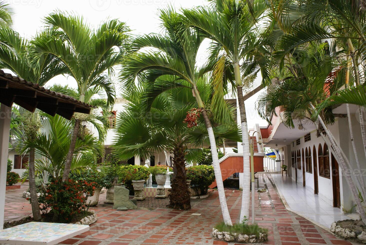 jardim Visão com árvores, pátio dentro verão recorrer Tolu, Colômbia foto