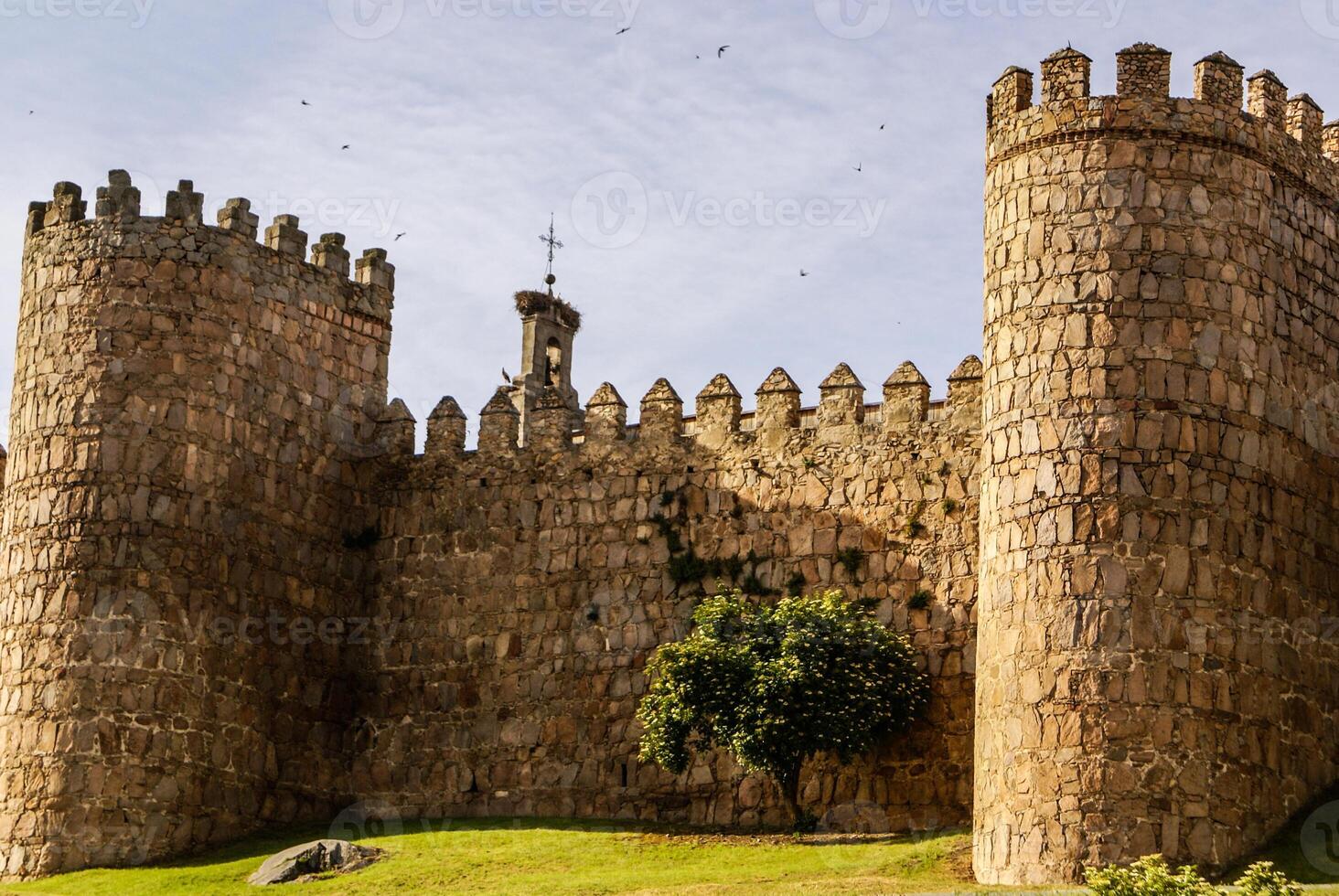 cênico medieval cidade paredes do Ávila, Espanha, unesco Lista foto